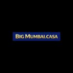 bigmumbaicasa