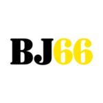 Bj66fit1