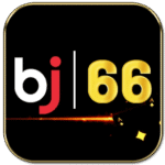 bj66j96t