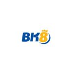 bk8cheapcelinehandbagsale