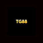 blogzacom1