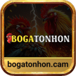 Bồ Gà Tonhon