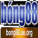 bong88aeorg1