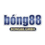 Nhà Cái Bong88