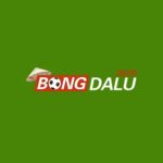 bongdalubeer1