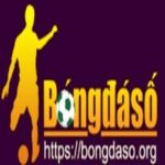 bongdasoorg2