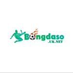 bongdasouknet