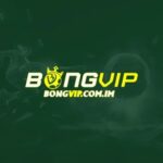 BONGVIP