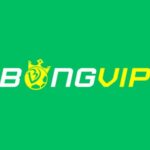 bongvipgroup