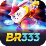 br333co