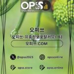 부산오피 오피.CLUB 부산OP