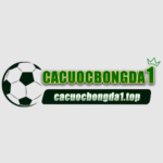 cacuocbongda1top
