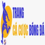 Trang Cá Cược Bóng Đá