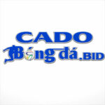 cadobongdabid1