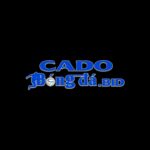 Cadobongdabidvn