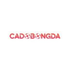 Cá Độ Bóng Đá Online