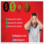 Buy Verified CashApp Accounts