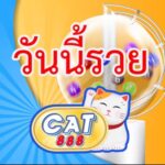CAT888