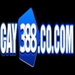 Cay388cocom