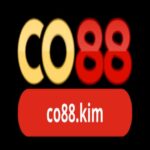 CO88