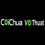 coichua1vothuat