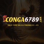 conga6789cam1