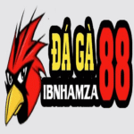 daga88Ibnhamza