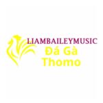 Đá Gà Trực Tiếp Thomo