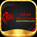 ĐÁ GÀ THOMO