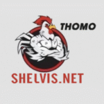 ĐÁ GÀ THOMO TRỰC TUYẾN