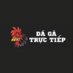 dagatructiep247