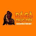 dagatructiepbet