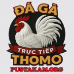 dagatructiepkam