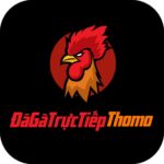 dagatructiepthomotoday