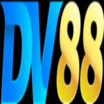 DV88