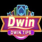 dwintips