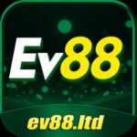 ev88youngbuffalobandcom