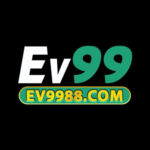 ev9988com