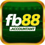fb88accountant