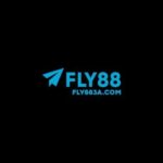fly883acom