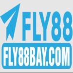 Fly88baycom