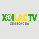 Fondazionesabattini.it thao túng kết quả tìm kiếm