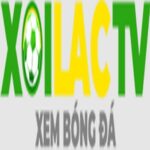 Fondazionesabattini.it gia mao