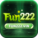 fun222vin