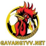 gavangtvvnet