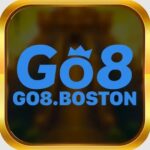 go8boston