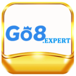 go8expert