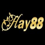 HAY88