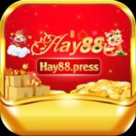 Hay88
