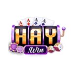 HAYWIN